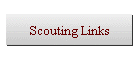 Scouting Links