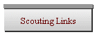 Scouting Links