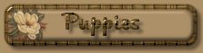 Puppies Announcement