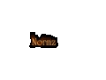 normz.gif (45495 bytes)