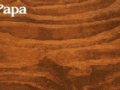 papa.gif (106280 bytes)