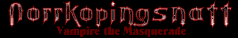 Norrk�pingsnatt banner