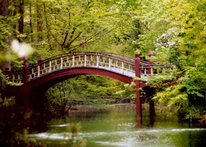 Crim Dell in the Summer
