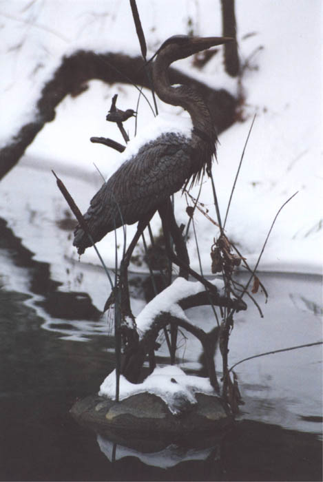 The Crim Dell Heron
