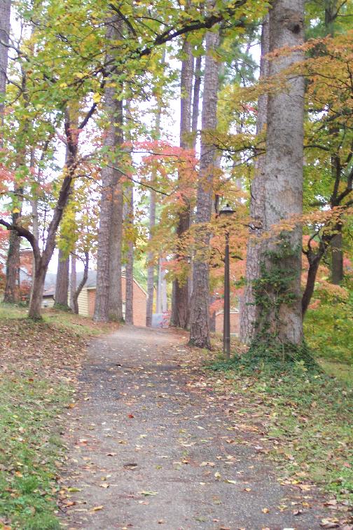 Path to the Lodges