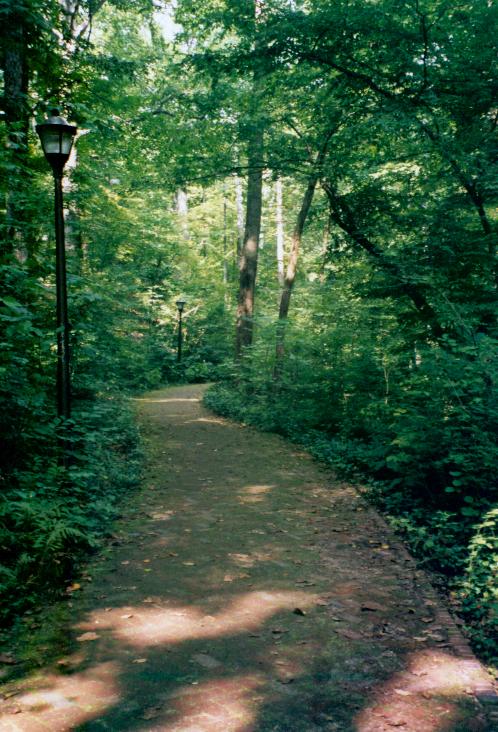 Woods Path