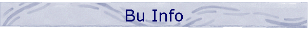 Bu Info