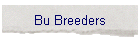 Bu Breeders