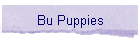 Bu Puppies