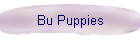 Bu Puppies