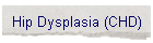 Hip Dysplasia (CHD)