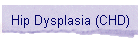 Hip Dysplasia (CHD)