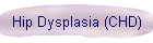 Hip Dysplasia (CHD)