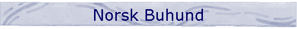 Norsk Buhund