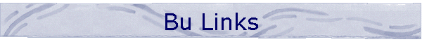 Bu Links