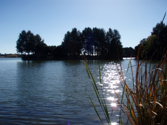 Landcare Australia