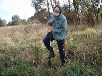Mark Using a Root Blade