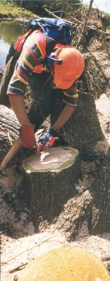Poisoning a Stump