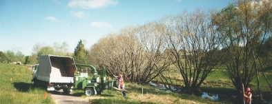 Into the Chipper