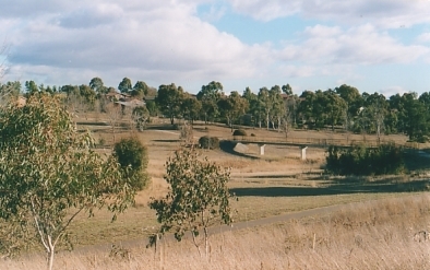 Little Snow Gums Looking Down to the Bridge