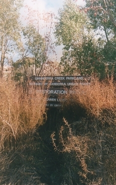 Our Sign Being Overgrown