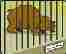 Picture of Animal in a Cage