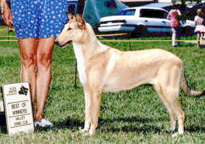 Amy