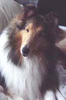 Sadie