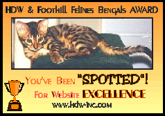 Bengal Cats Award
