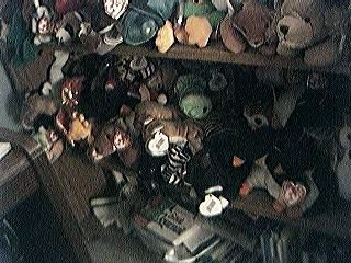 And Even More Beanie Babies