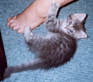 It's not dinnertime?