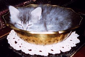 The first bed was toooo hard...