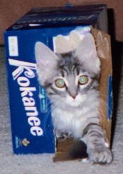 The third bed was toooo stinky...