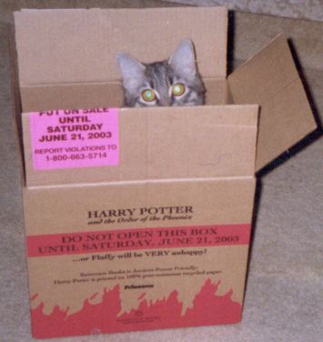 Cat in a box - Fluffy will be VERY unhappy!