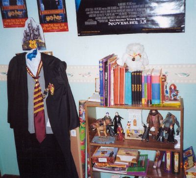 Harry Potter Costume, Books and More