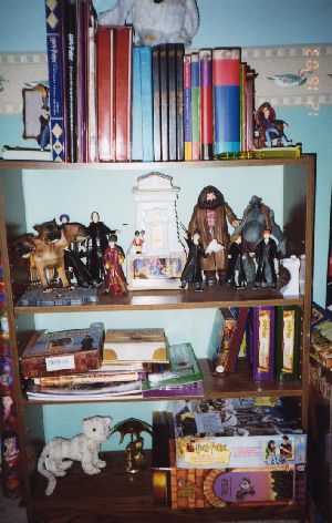 Harry Potter Books and More