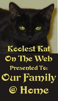 Kool Kat Award