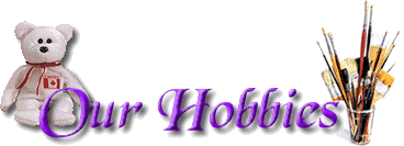 Our Hobbies