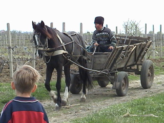 Romanian Farmer 52kb