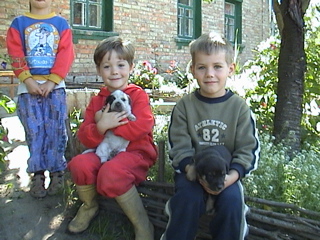 Puppies