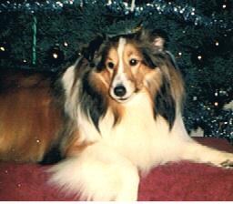Henry Higgins 2/24/91-09/23/01