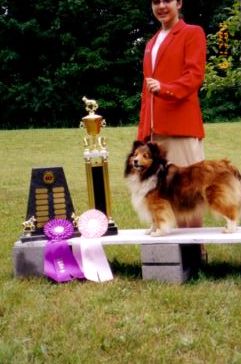 e-mail link for Oh Keith Shelties( Magics owner)
