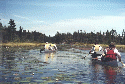 Peaceful Waterway