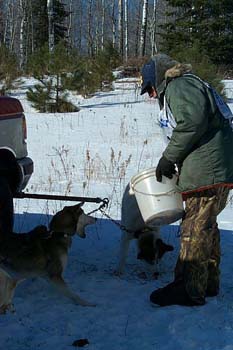 feeding_time