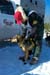 adjusting_harness