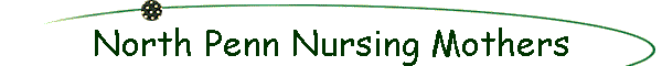 North Penn Nursing Mothers
