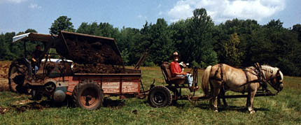 horse-drawn manure spreader