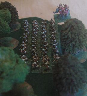 DBR 15mm Burmese