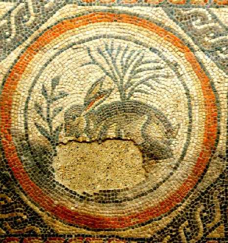 Roman Mosaic, Cirencester, � Andrew Fear, March 2005