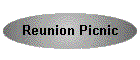 Reunion Picnic